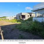 Immobilier : Les demi-projets des jumeaux Purmanund