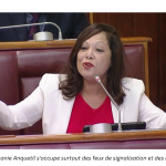 Un parlement morne sauf quelques révélations involontaires