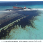 Echouement du Wakashio et marée noire : Le rapport de la Court of Investigation ne sera pas rendu public